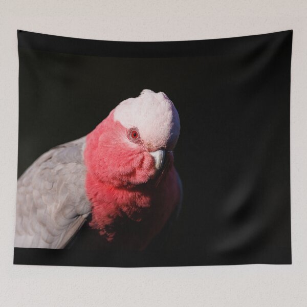 Item preview, Galah Noir designed and sold by theleastone.