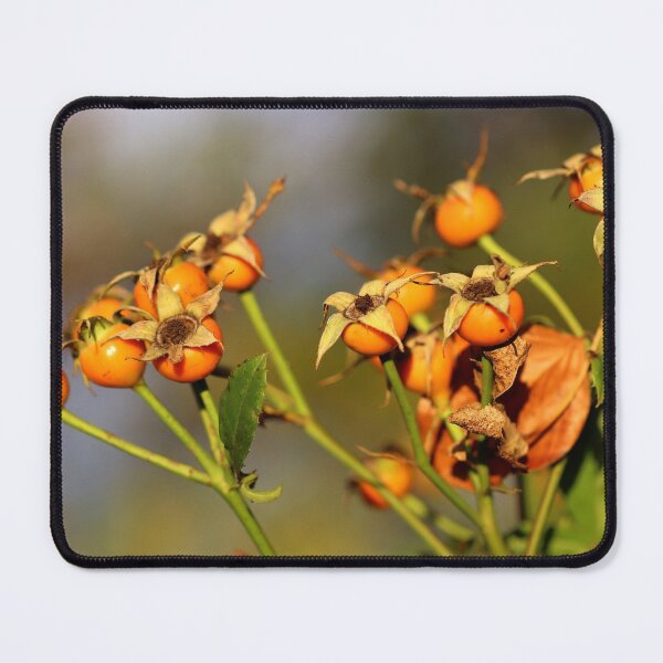 Item preview, Rose Hips in Autumn designed and sold by cuprum.