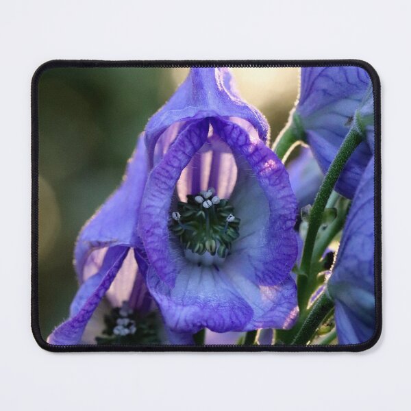 Item preview, Monkshood and the Setting Sun II designed and sold by cuprum.