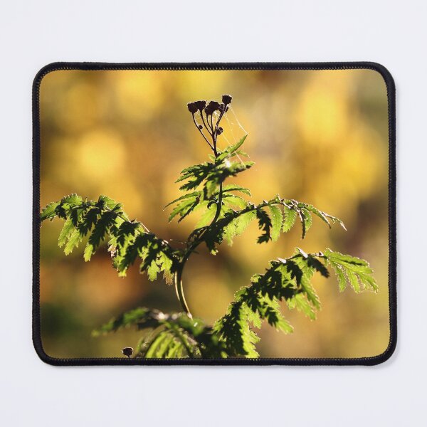 Item preview, A Warm Autumn Glow designed and sold by cuprum.