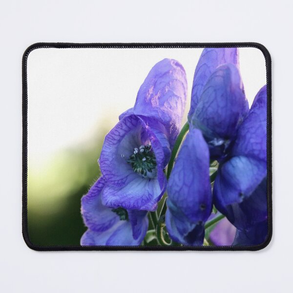 Item preview, Monkshood and the Setting Sun I designed and sold by cuprum.