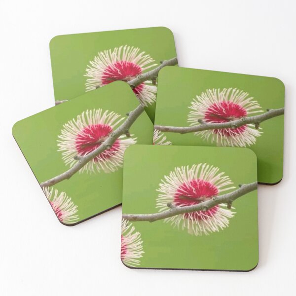 Item preview, Pincushion Hakea designed and sold by ritusdesigns.