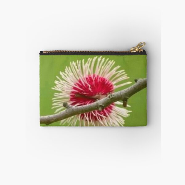 Item preview, Pincushion Hakea designed and sold by ritusdesigns.