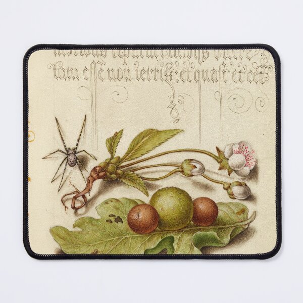 Item preview, Naturalist Manuscript: Spider, Plants, and Calligraphy Illumination by Joris Hoefnagel designed and sold by Naturalist Prints.