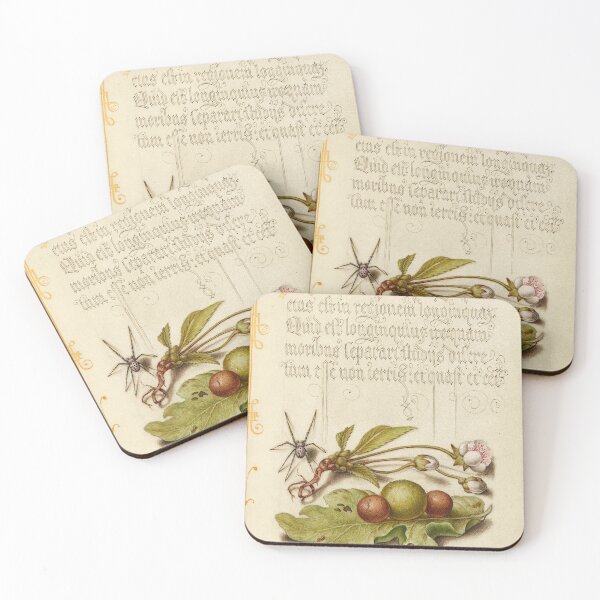 Item preview, Naturalist Manuscript: Spider, Plants, and Calligraphy Illumination by Joris Hoefnagel designed and sold by Naturalist Prints.