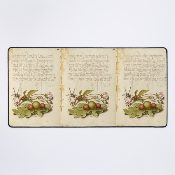 Item preview, Naturalist Manuscript: Spider, Plants, and Calligraphy Illumination by Joris Hoefnagel designed and sold by Naturalist Prints.