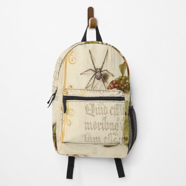 Item preview, Naturalist Manuscript: Spider, Plants, and Calligraphy Illumination by Joris Hoefnagel designed and sold by Naturalist Prints.