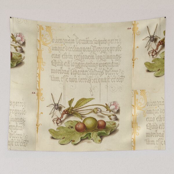 Item preview, Naturalist Manuscript: Spider, Plants, and Calligraphy Illumination by Joris Hoefnagel designed and sold by Naturalist Prints.