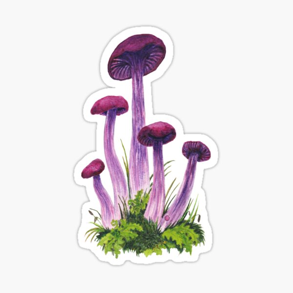Amethyst Deceiver mushroom original watercolor art Sticker