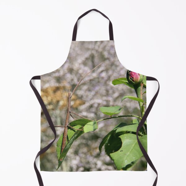 Item preview, r955 / New Finition 2021 " Le Légendaire Phasme du Jardin " (h) Olavia-Olao Okaio Créations designed and sold by o.okaïo.