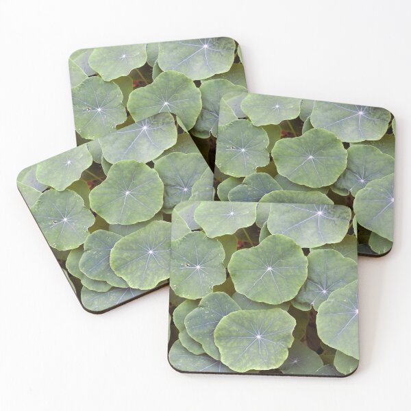 Item preview, Close-up view of the leaves of the garden nasturtium  designed and sold by JohnGaffen.