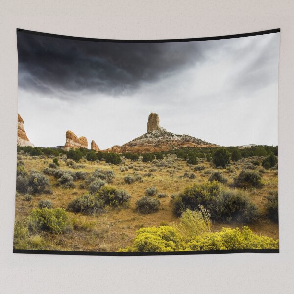 Aperçu de l'œuvre Désert rural, Arizona créée et vendue par OrcaNature.