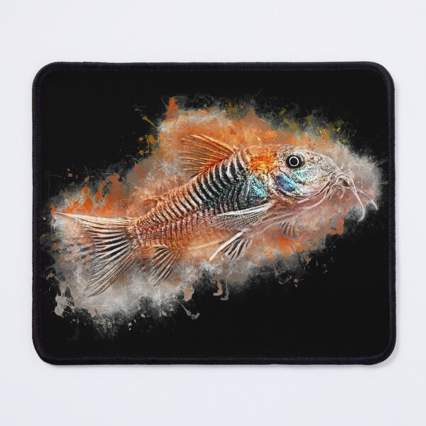 Item preview, Rust-red Venezuela armored catfish - Corydoras venezuelanus designed and sold by AquariumLutter.