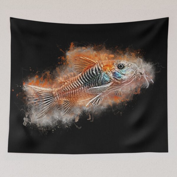 Item preview, Rust-red Venezuela armored catfish - Corydoras venezuelanus designed and sold by AquariumLutter.