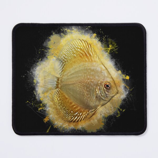 Item preview, Discus Pigeon Gold - Symphysodon aequifasciatus designed and sold by AquariumLutter.