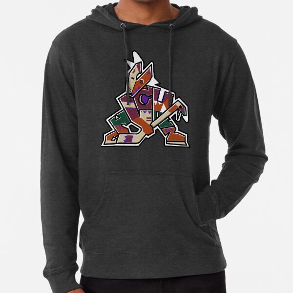 Arizona Coyotes Champion Vintage Ice Crewneck Sweatshirt