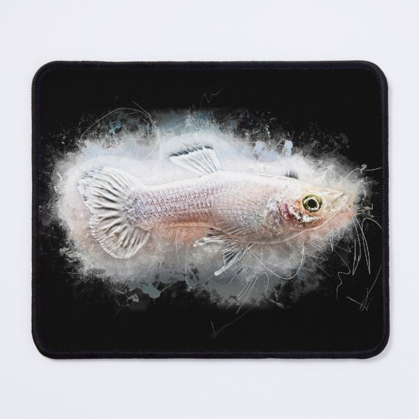 Item preview, Guppy White - Poecilia reticulata designed and sold by AquariumLutter.