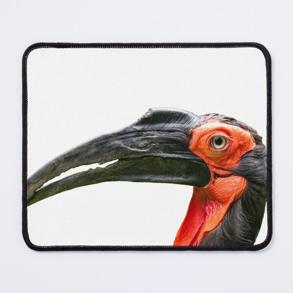 Item preview, African ground hornbill designed and sold by Ingo Gerlach.