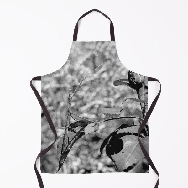Item preview, r954 / New Finition 2021 " Le Légendaire Phasme du Jardin " (h) Olavia-Olao Okaio Créations designed and sold by o.okaïo.