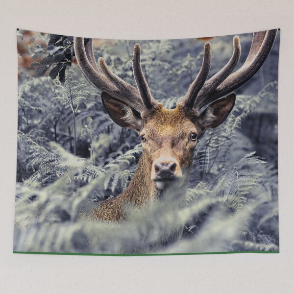 Item preview, Scottish Wildlife Deer, Red Deer Stag designed and sold by DiensDesign.