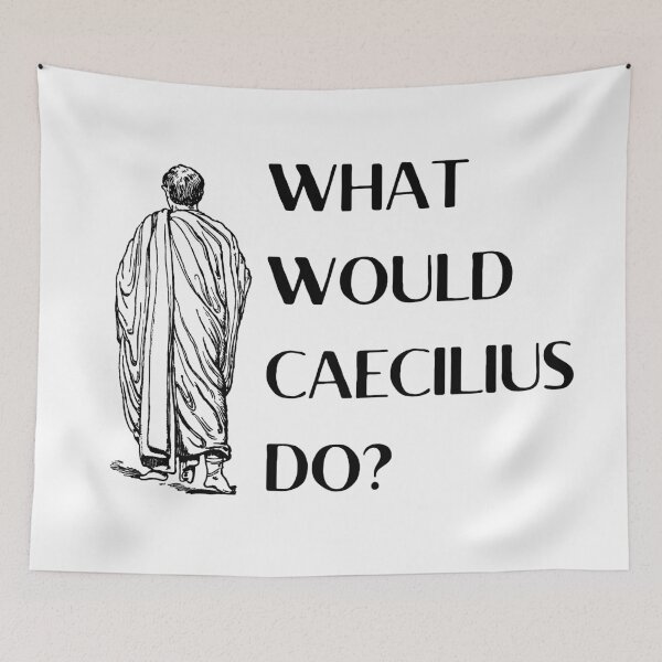 Item preview, Would Caecilius Do It? designed and sold by sunnybandana.