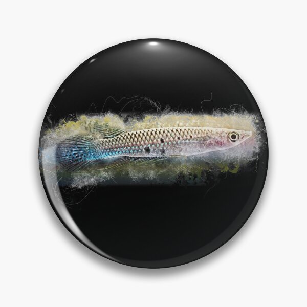 Item preview, Green striped pike - Aplocheilus dayi designed and sold by AquariumLutter.