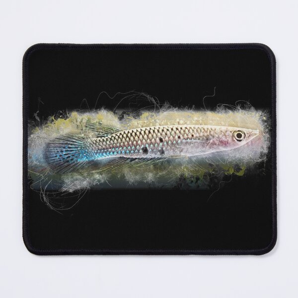 Item preview, Green striped pike - Aplocheilus dayi designed and sold by AquariumLutter.