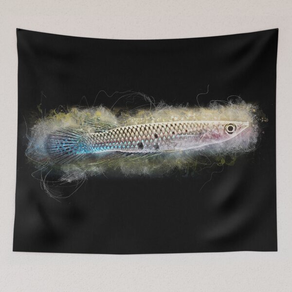 Item preview, Green striped pike - Aplocheilus dayi designed and sold by AquariumLutter.