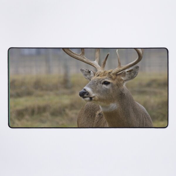 Item preview, Scottish Wildlife Deer, Red Deer Stag designed and sold by DiensDesign.