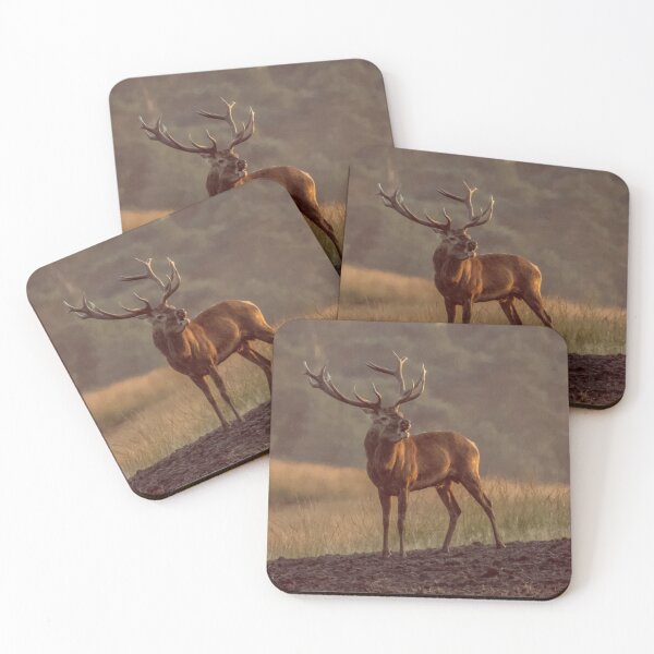 Item preview, Scottish Wildlife Deer, Red Deer Stag designed and sold by DiensDesign.