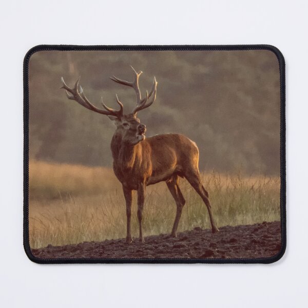 Item preview, Scottish Wildlife Deer, Red Deer Stag designed and sold by DiensDesign.