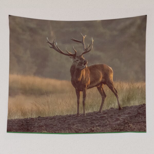 Item preview, Scottish Wildlife Deer, Red Deer Stag designed and sold by DiensDesign.