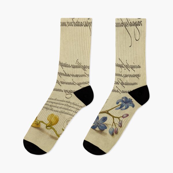 Item preview, Naturalist Manuscript: Flowers and Calligraphy Illumination by Joris Hoefnagel designed and sold by Naturalist Prints.