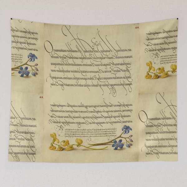 Item preview, Naturalist Manuscript: Flowers and Calligraphy Illumination by Joris Hoefnagel designed and sold by Naturalist Prints.