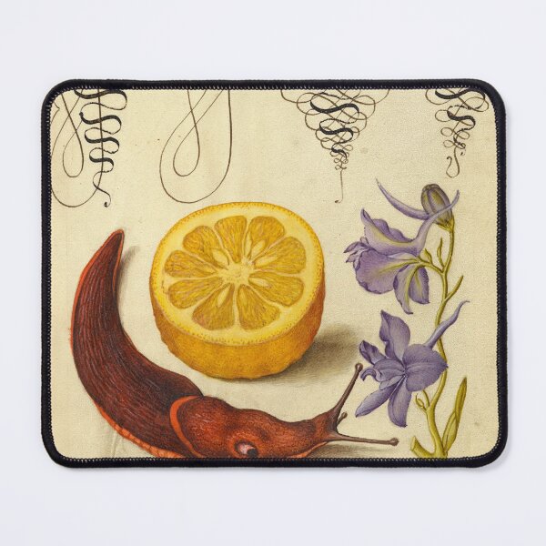 Item preview, Naturalist Manuscript: Flowers, Fruits, Animal, and Calligraphy Illumination by Joris Hoefnagel designed and sold by Naturalist Prints.