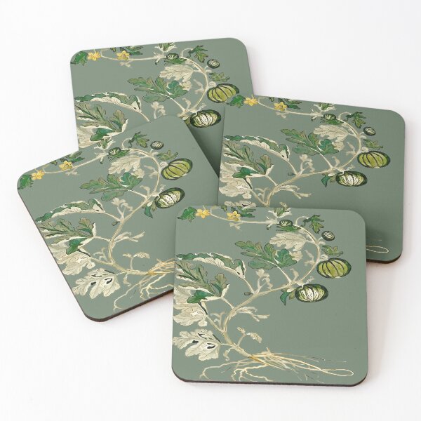 Item preview, Honeydew Melon Vine Botanical Art Vector designed and sold by taiche.