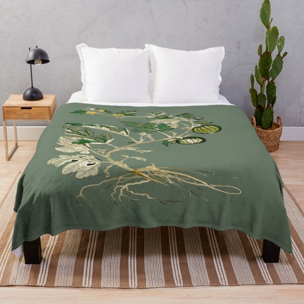 Item preview, Honeydew Melon Vine Botanical Art Vector designed and sold by taiche.