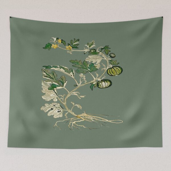 Item preview, Honeydew Melon Vine Botanical Art Vector designed and sold by taiche.