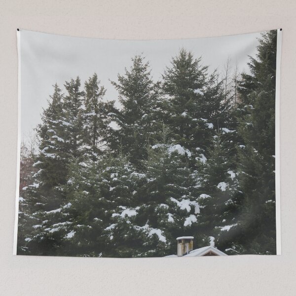 Item preview, Snowy Cabin Christmas Postcard | Winter Travel Photography designed and sold by julidescole.