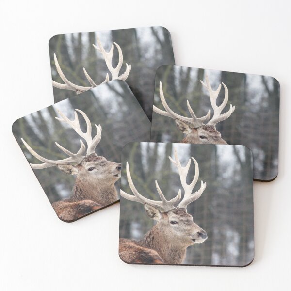Item preview, Scottish Wildlife Deer, Highland Scotland designed and sold by DiensDesign.