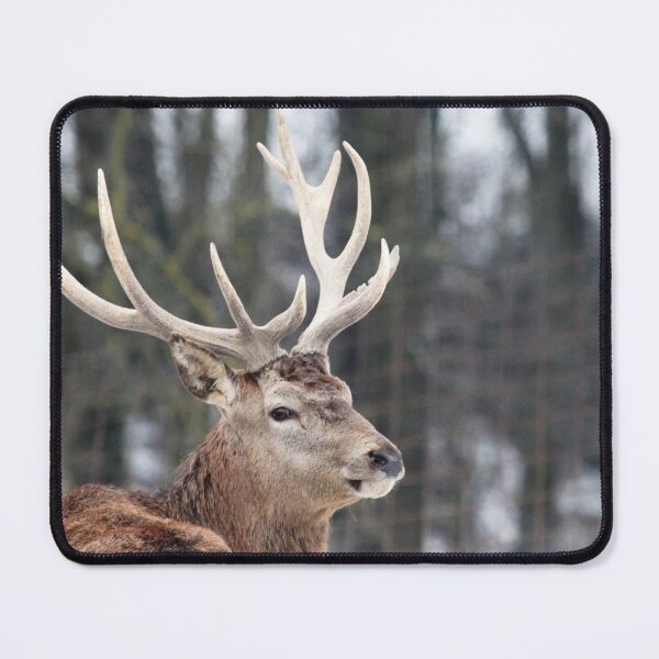 Item preview, Scottish Wildlife Deer, Highland Scotland designed and sold by DiensDesign.
