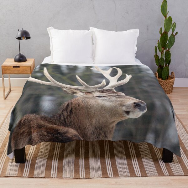 Item preview, Scottish Wildlife Deer, Highland Scotland designed and sold by DiensDesign.