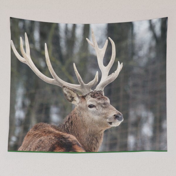 Item preview, Scottish Wildlife Deer, Highland Scotland designed and sold by DiensDesign.