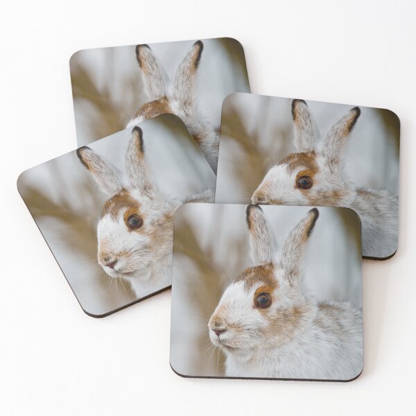 Item preview, Snow Shoe Hare designed and sold by Michael Cummings.