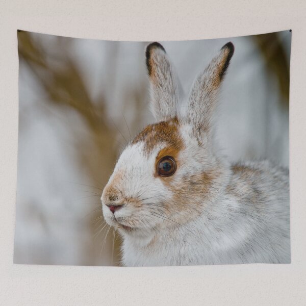 Item preview, Snow Shoe Hare designed and sold by Michael Cummings.
