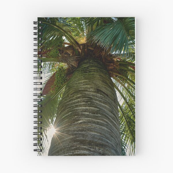 Item preview, Palm designed and sold by Mark Bangert.