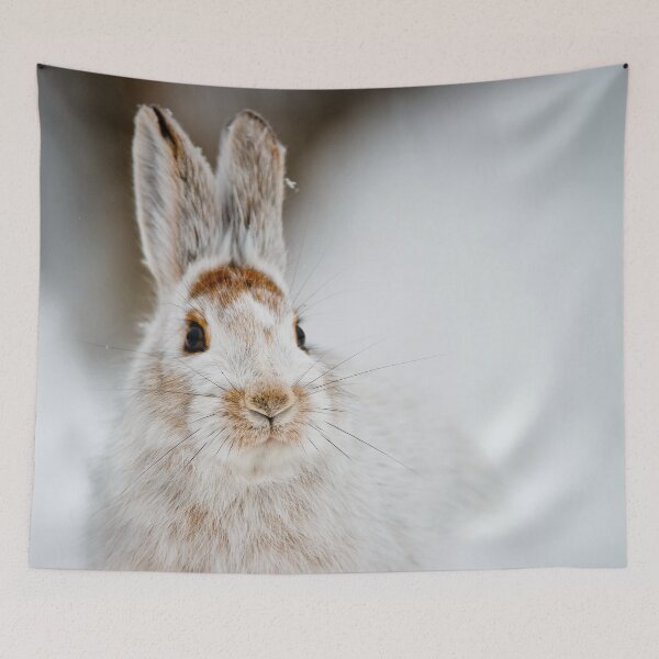 Item preview, Snow Shoe Hare designed and sold by Michael Cummings.
