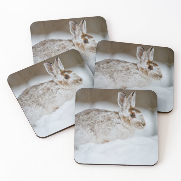 Item preview, Snow Shoe Hare designed and sold by Michael Cummings.