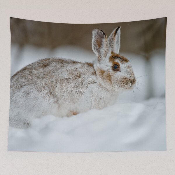 Item preview, Snow Shoe Hare designed and sold by Michael Cummings.