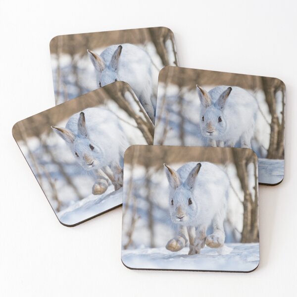 Item preview, Snow Shoe Hare designed and sold by Michael Cummings.